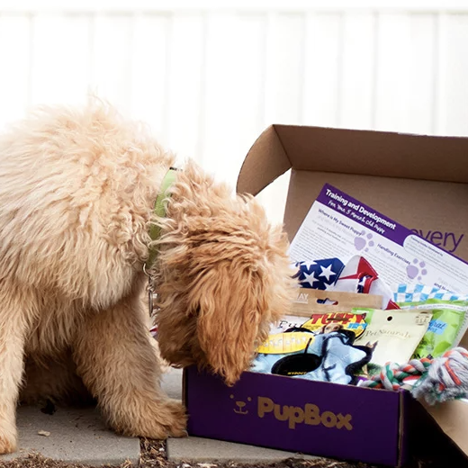 Puppy Gift Box - Woofbox - Gift Boxes and Monthly Subscriptions