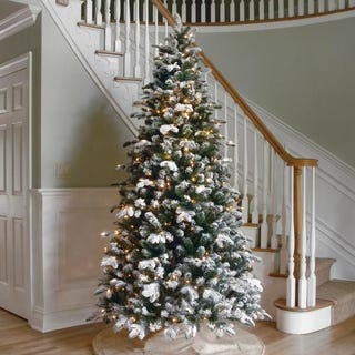 6.5' Flocked Everest Fir Tree