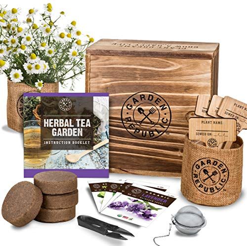 Tea & Dried Flowers Present Box Tea Brewing Kit Perfect Gift for Christmas 