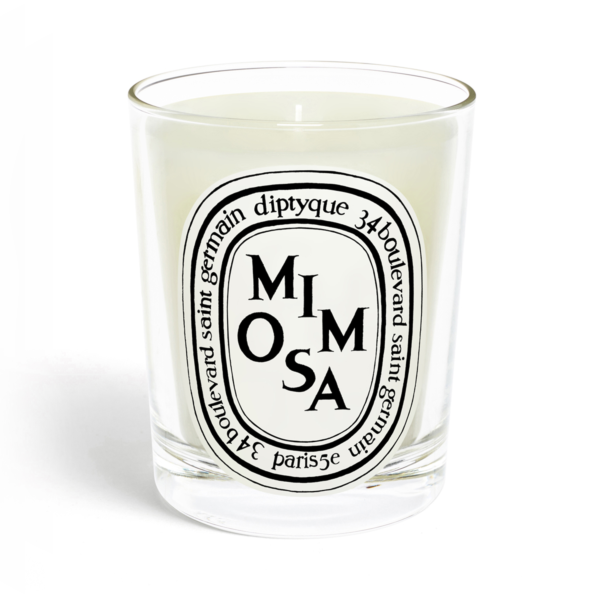Mimosa Candle Mimosa Candle