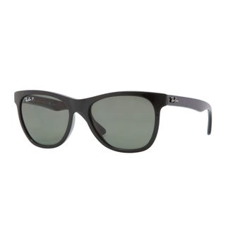 Ray-Ban Polarized Wayfarer Sunglasses Ray-Ban Polarized Wayfarer Sunglasses