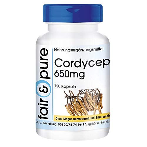Cordyceps Capsules - 650mg 