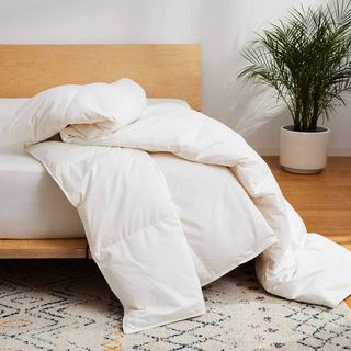 Lightweight down comforter