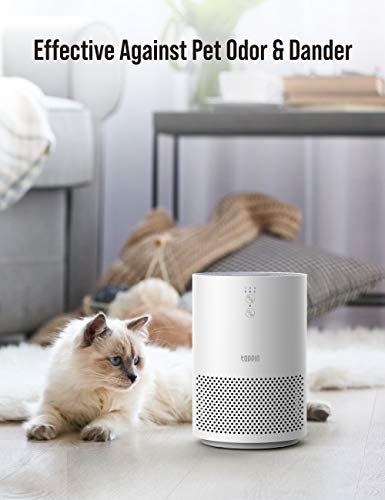 Air purifier shop for cat