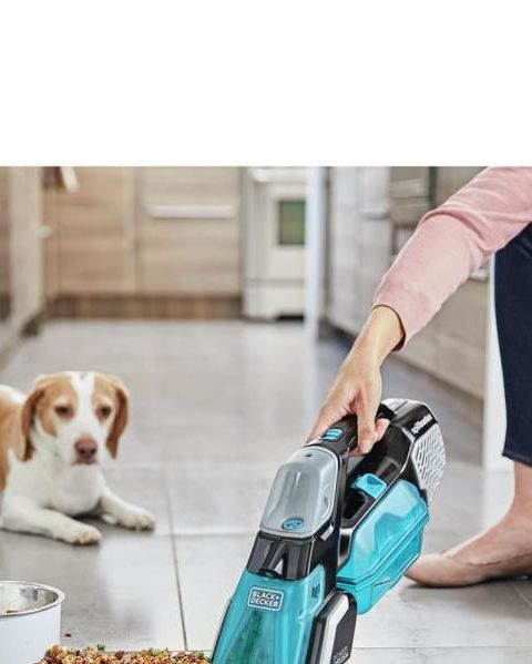 10 Best Carpet Cleaners for Pets and Stains in 2024