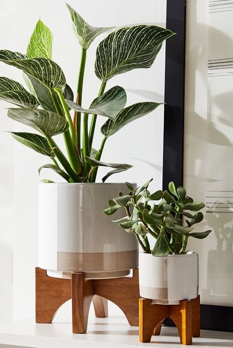 Mid-Century Turned Wood Tabletop Planters Collection