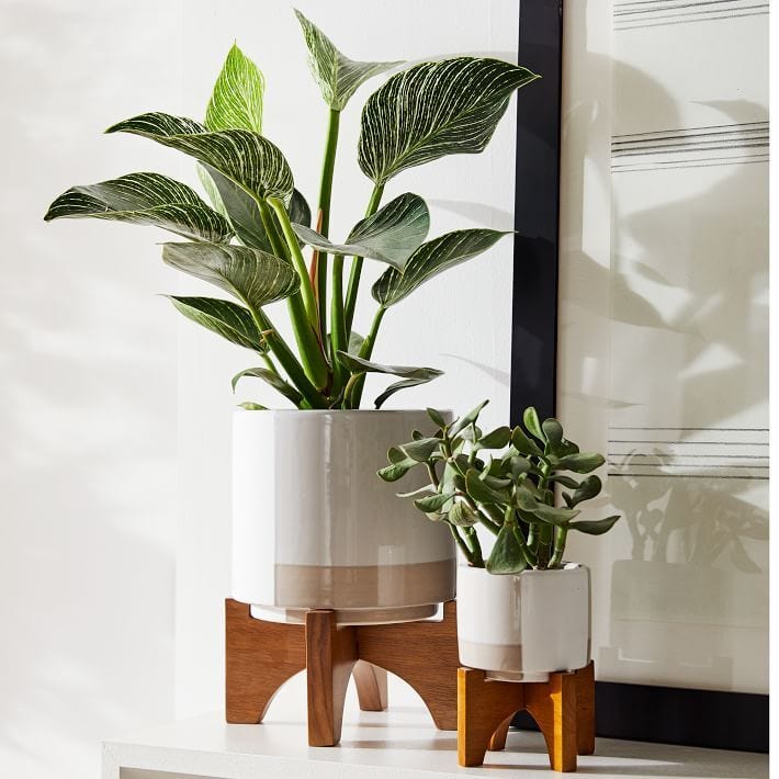 23 Best Gifts for Plant Lovers of 2024