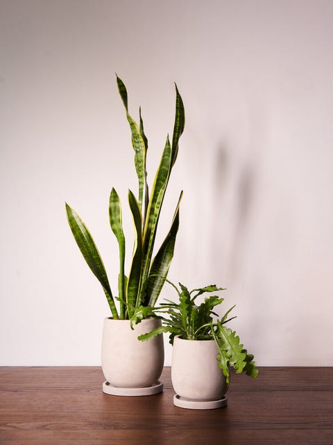 17 Indoor Plant Pots - Best Indoor Planters