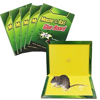 Mouse Trap Rat Mice Insect Catcher Pad Traps Pest Rodent Heavy Duty x 5
