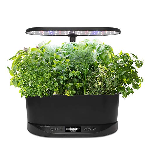 Indoor Hydroponic Herb Garden