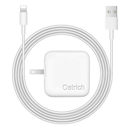 Can I Use iPhone Charger for iPad? | iPad Power Adapter