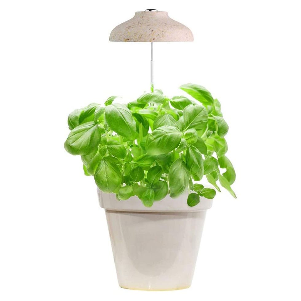 GrowLED Umbrella Indoor Herb Garden