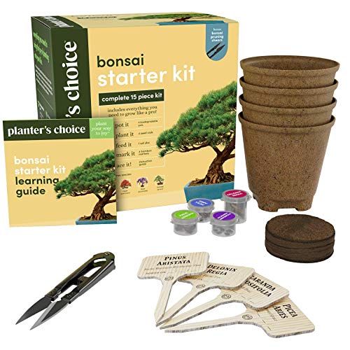 Bonsai Starter Kit 