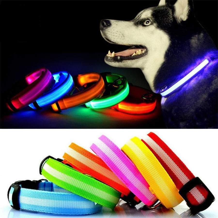 are led strip lights safe for dogs