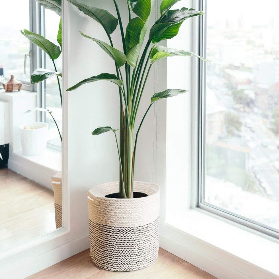 20 Best Indoor Flower Pots 2023: Shop Our Stylish Picks