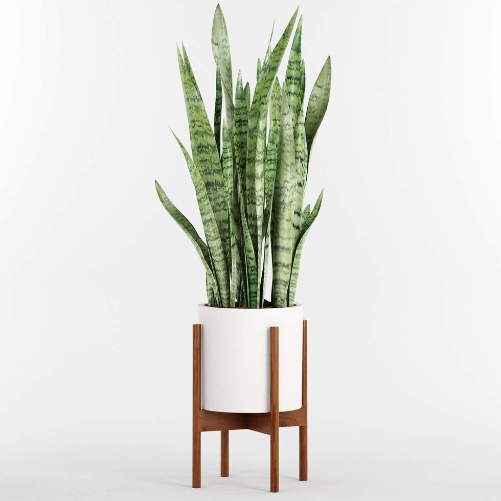 Modern Planter With Acacia Wood Stand