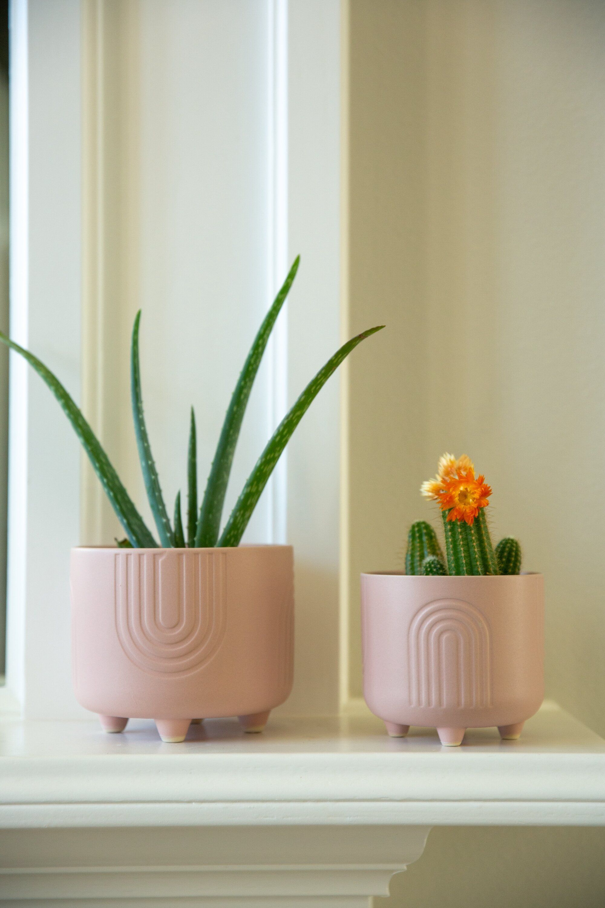 20 Indoor Flower Pots 2023: Our