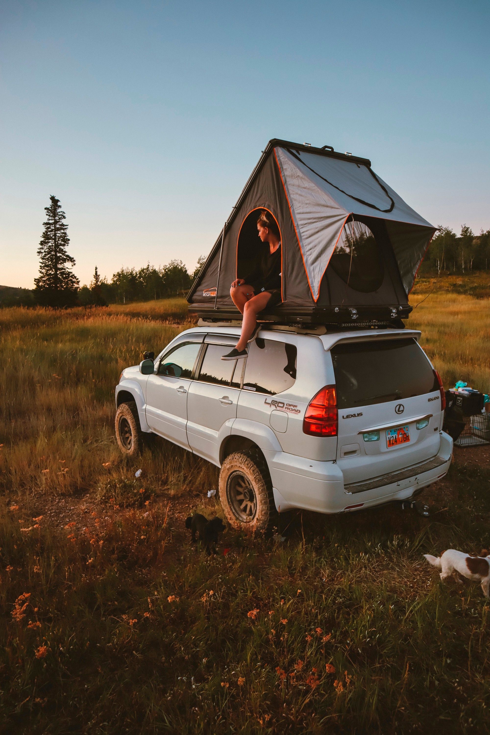 Falcon Rooftop Tent