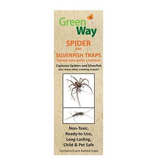 Prebaited Spider and Silverfish Sticky Trap