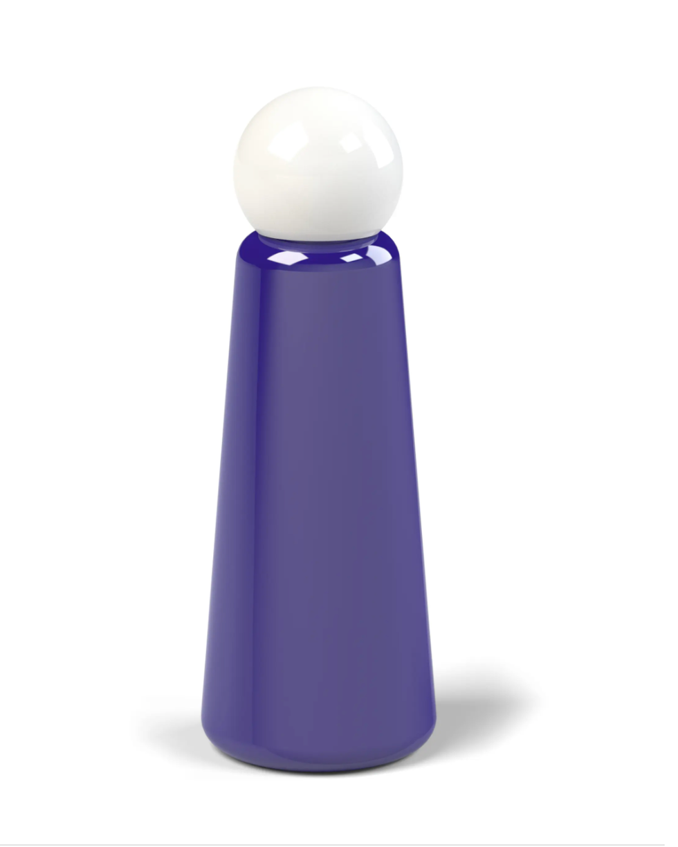 Skittle Stainless Steel Bottle (9 ounce)