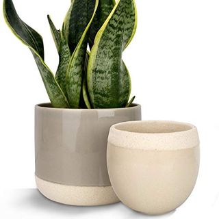 Indoor Ceramic Planters - Set of 2