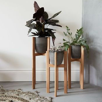 30 Best Indoor Plant Stands For Displaying Your Plants In 2021