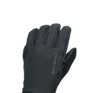 SealSkinz Women's Waterproof All Weather Insulated Glove