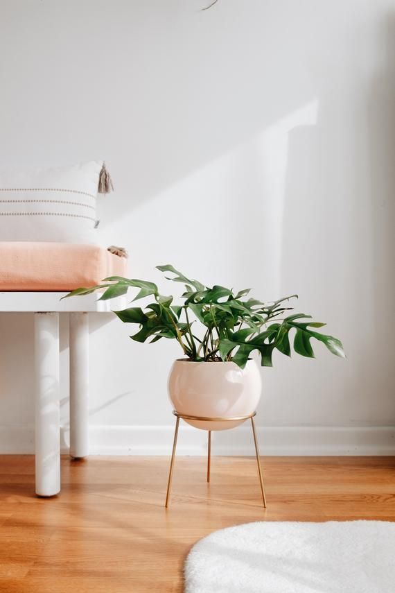 26 Best Indoor Plant Stands For, Plant Stands For Hardwood Floors