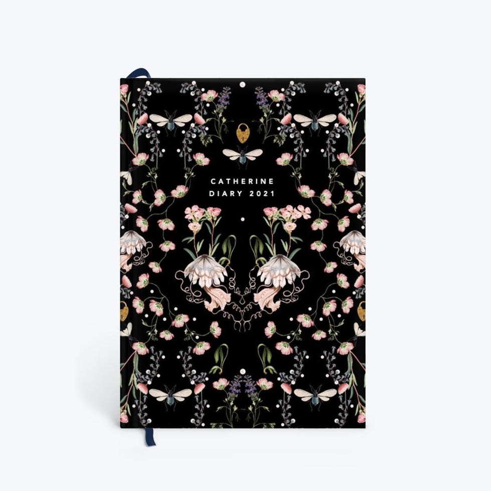 Fairy Tale 2021 Diary