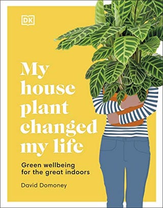 My Room Plant Changed My Life: Grünes Wohlbefinden für das große Zuhause