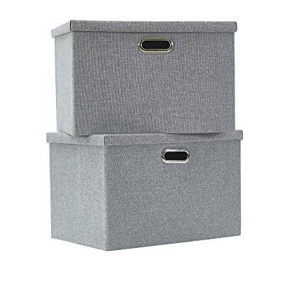 AlphaHome Large Storage Boxes with Lids [2 Pack]
