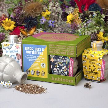 Birds, Bees And Butterflies Seedbom Gift Box