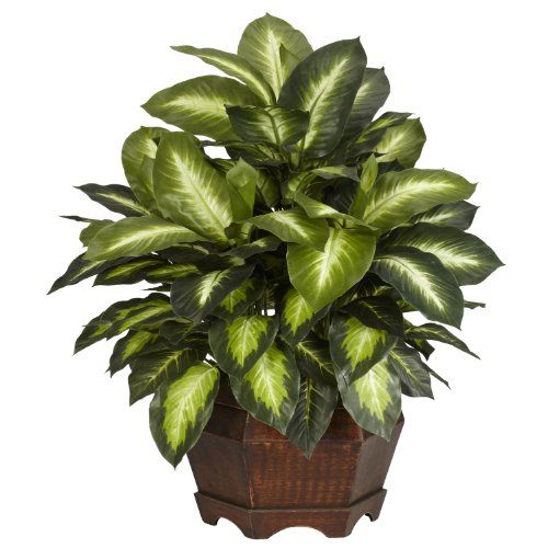 Pianta succulenta finta: piante grasse artificiali di qualità