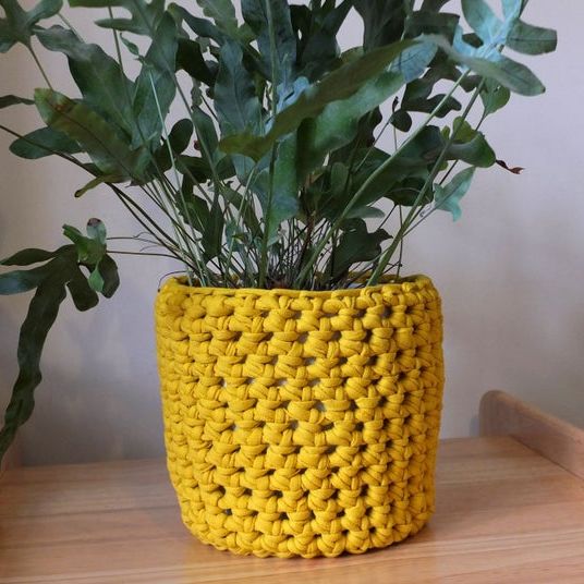 Crocheted Plant Pot Cover