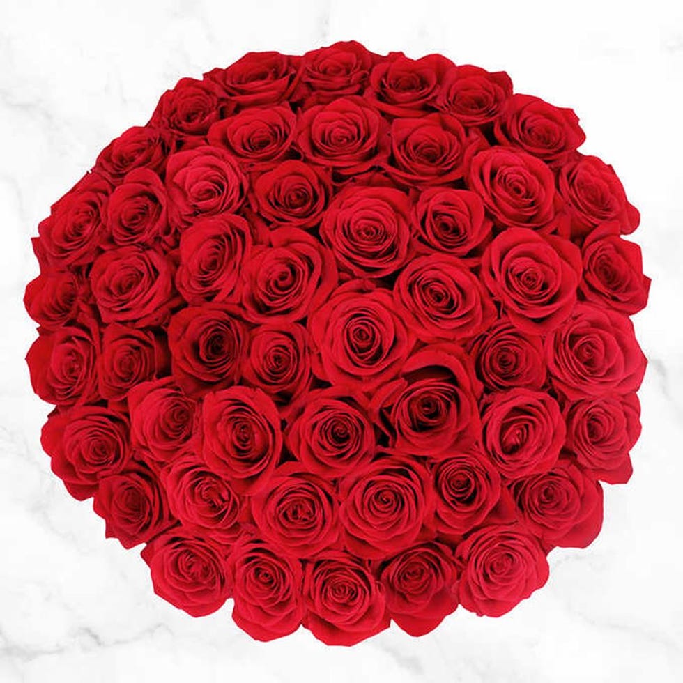 Costco Is Selling 50 Red Roses for Just $40 for Valentine's Day