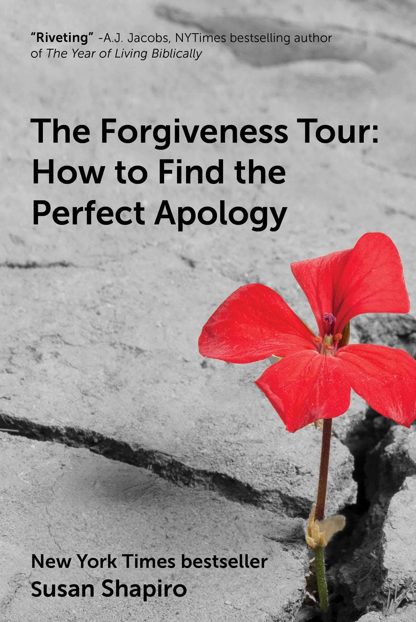 The Forgiveness Tour: How to Find the Perfect Apology