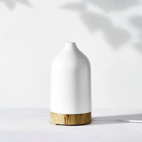 30+ best electric diffusers for a nice smelling home