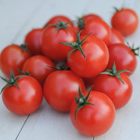 Tomato 'Gardener's Delight' SeedsSolanum lycopersicum L.