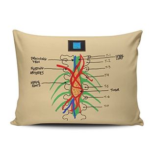 Grey's Anatomy Decorative Pillowcase