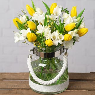 Freesien und Tulpen