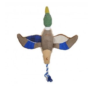Go Quackers Duck Dog Toy
