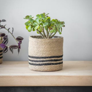 Striped Pot, Small