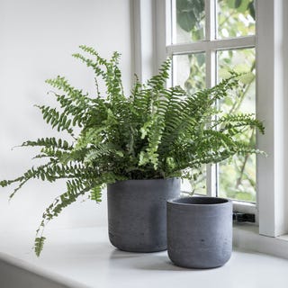 Set of 2 Stratton Straight Plant Pots