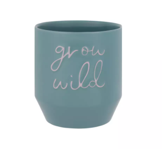 Novelty Slogan Planter - Green