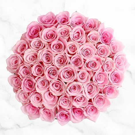 50-Stem Light Pink Roses