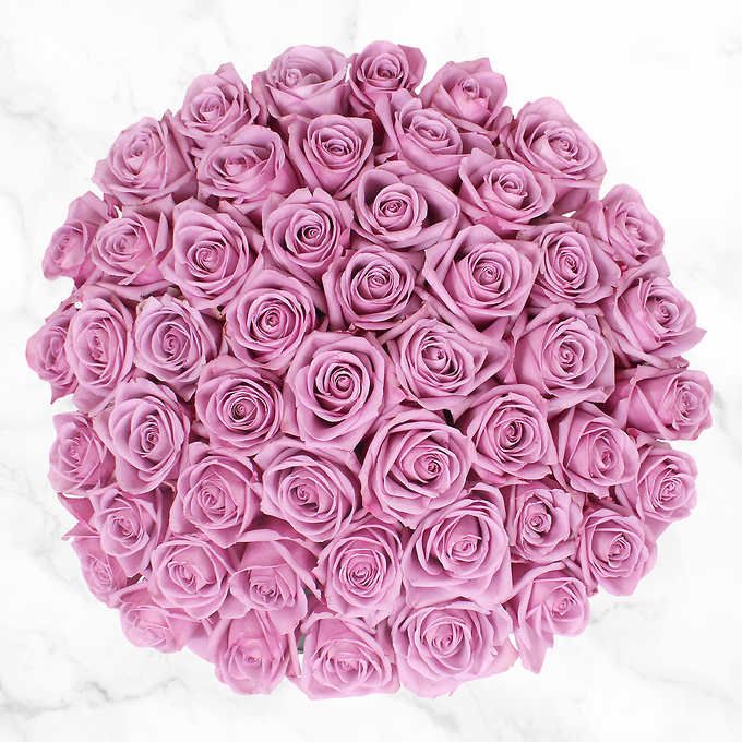 50-Stem Purple Roses