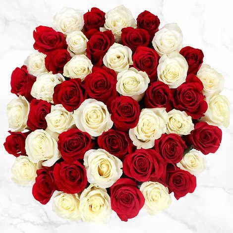 50-Stem Red & White Roses