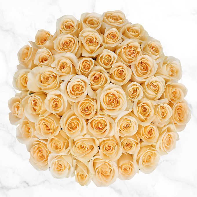50-Stem Pale Yellow Roses