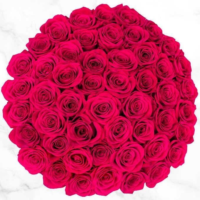 50-Stem Hot Pink Roses