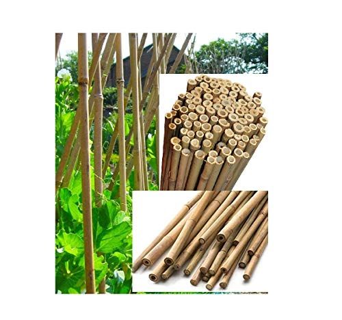 Durable Bamboo Cane Garden Stakes 5Ft x 14-16mm 